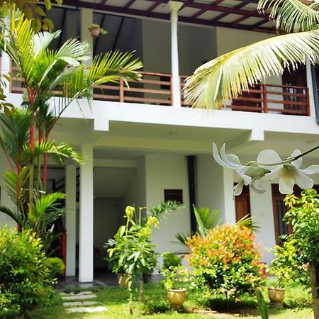 Splendid Lodge Mirissa Extérieur photo